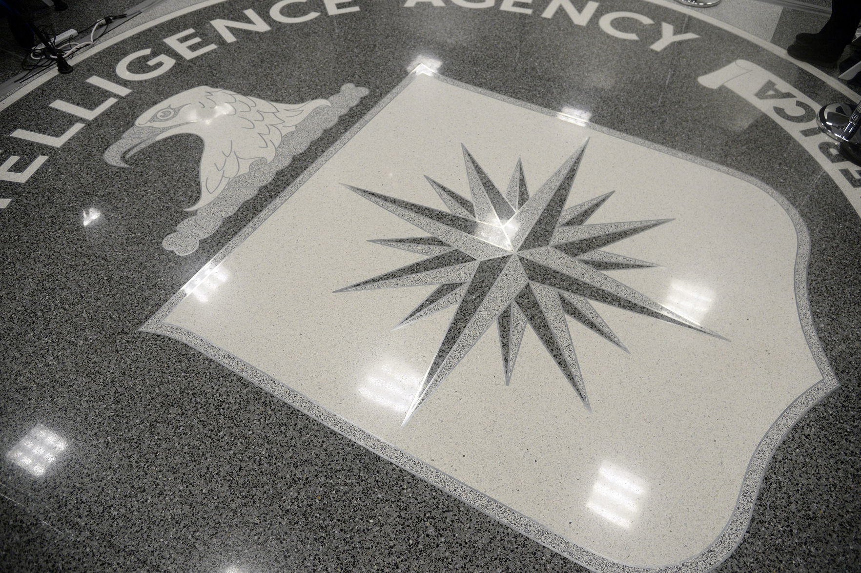 52. CIA psychics